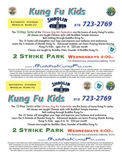 2 Strike Tai Chi by Buddha Zhen